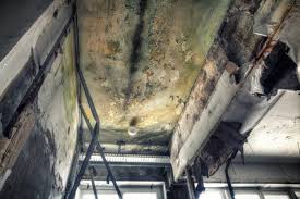 Best Mold Prevention Services  in Chantilly, VA